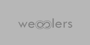 Wecyclers